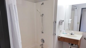 Accessible Shower Ironwood Michigan